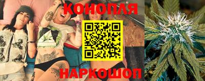 сатива Нальчик