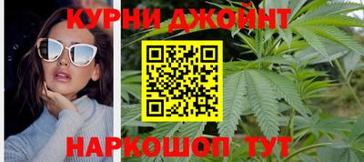 сатива Нальчик