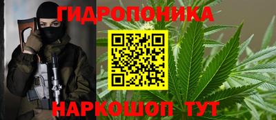 сатива Нальчик