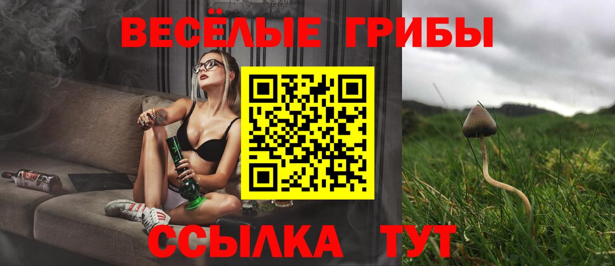 Стрежевой  закладки  Вход с VPN  Псилоцибиновые грибы ЛСД 